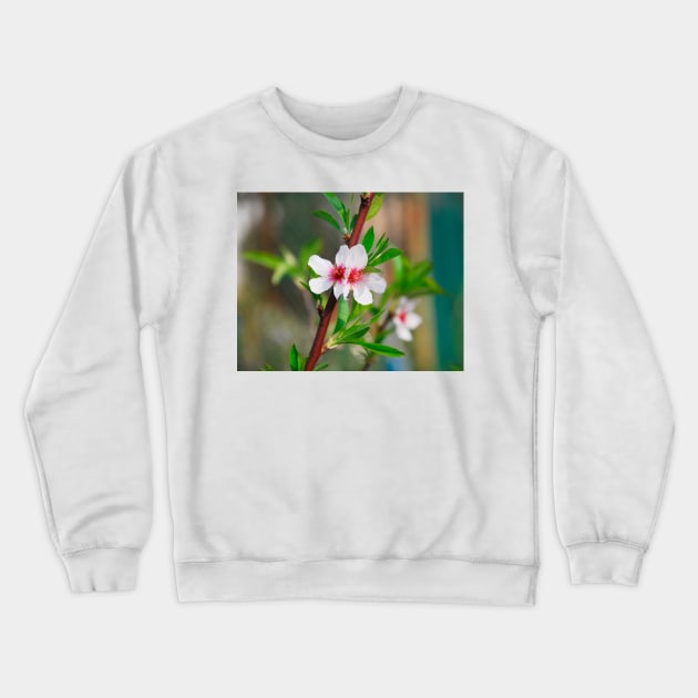 Almond Blossom Crewneck Sweatshirt by jojobob